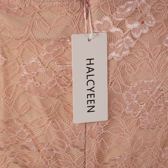NWT Halcyeen | Pink Floral Lace-Bodice A-Line Dress - XL - Picture 6 of 6